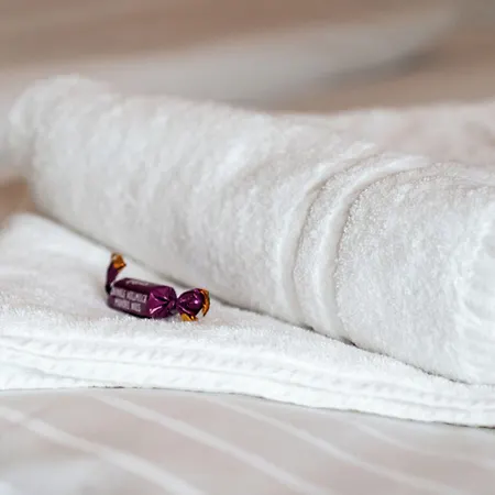 Sekra Stadthotel 호텔 하이덴하임안데어브렌츠